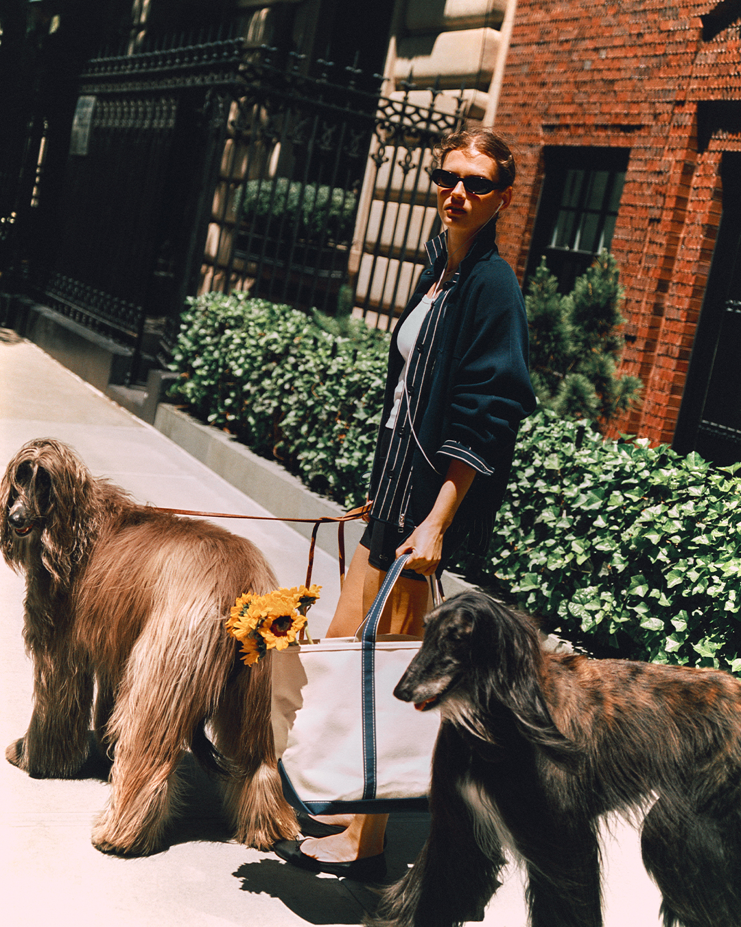A New York Story — Guest in Residence