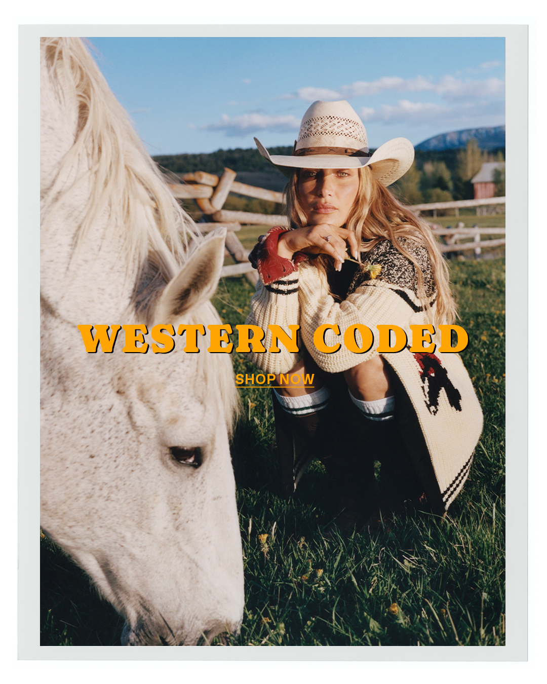Woman in a cowboy hat kneels beside a white horse in a mountain pasture with Western Coded and Shop Now text overlaid